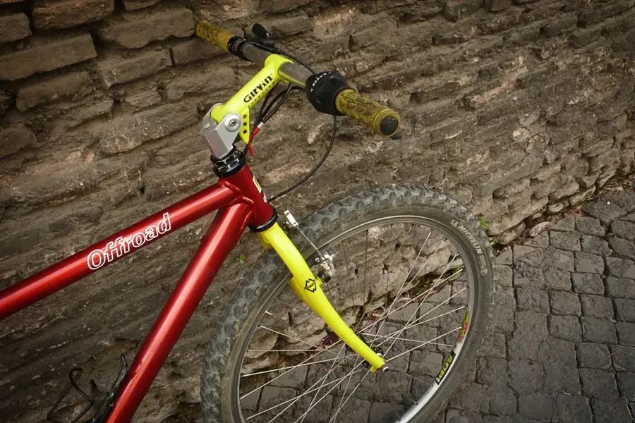 fork and stem.webp