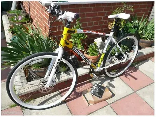 Saracen hybrid.webp