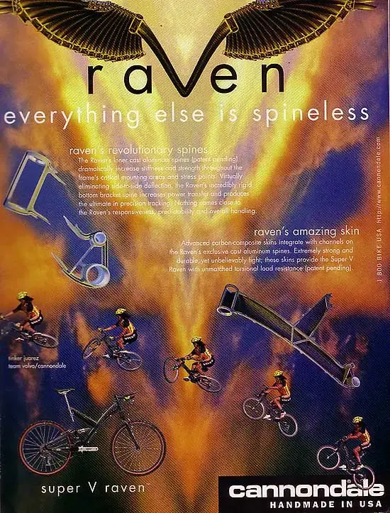 raven_ad.webp