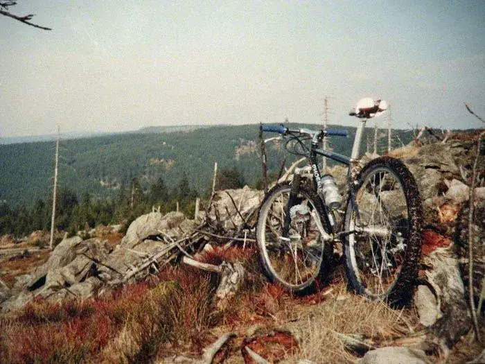 WTB_rider.webp