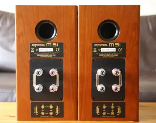 Epos M5i Rear.webp