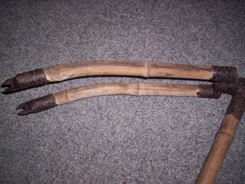 000_0530.webp