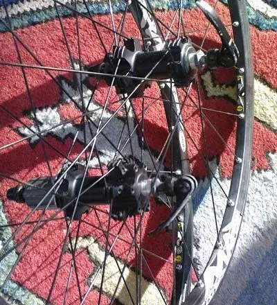 Photo-0141_000.webp