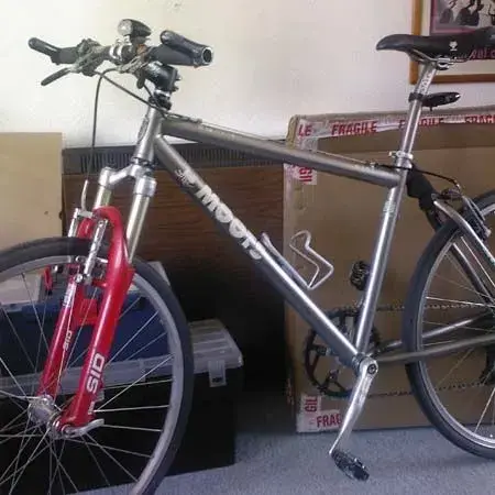 Moots.webp
