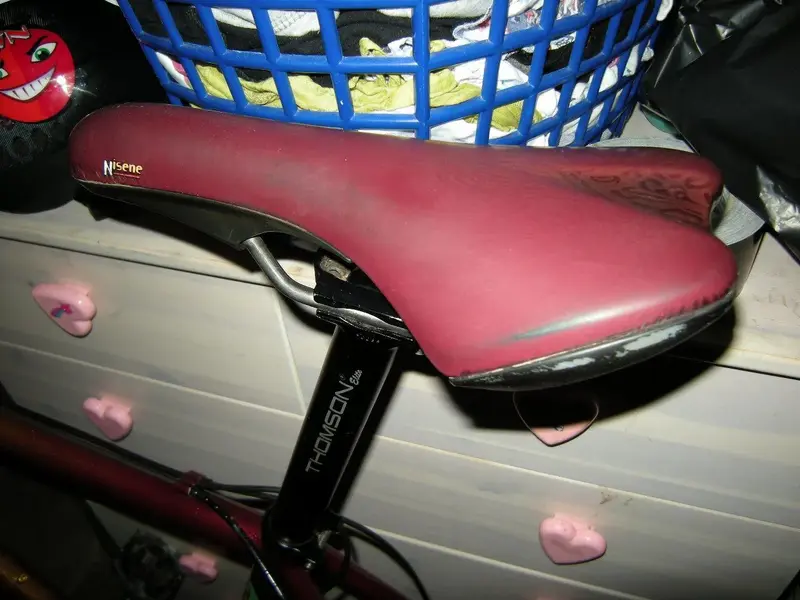 DSCN0030.webp