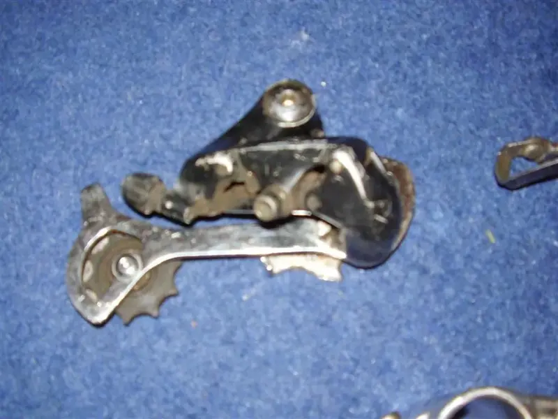 P2010034 (Large).webp