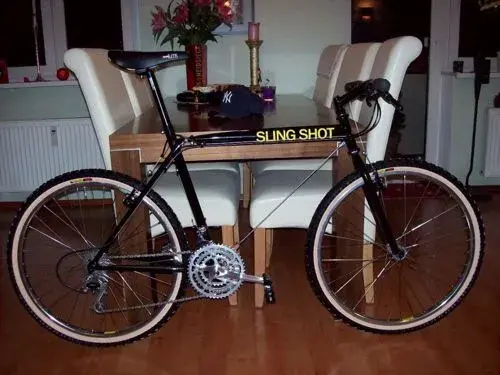Felix's 1991 Slingshot.webp
