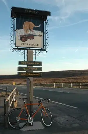 Cat and Fiddle.webp
