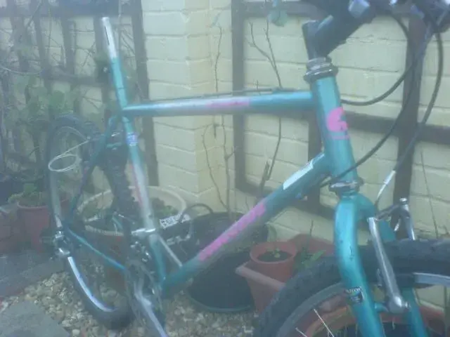 wills bikes 006.webp