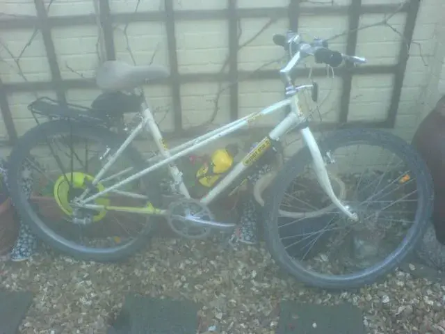 wills bikes 003.webp