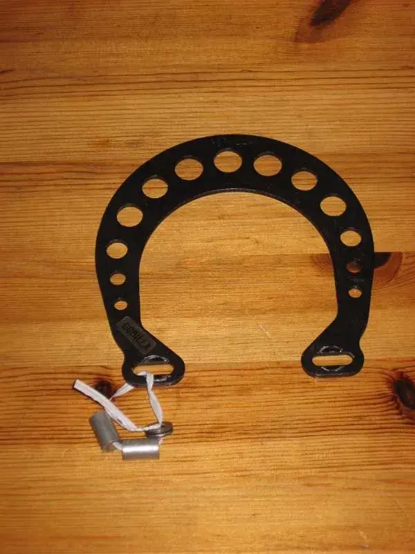 Brakebooster Gorilla.webp
