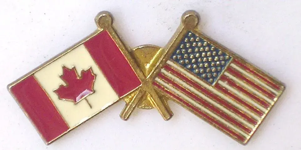 Pin_Flags.webp