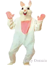 bac222.webp