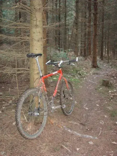IF ride 2 16-02-08.webp