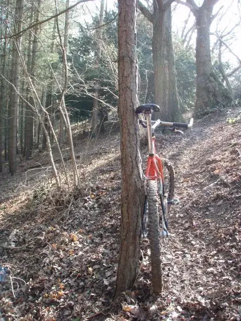 IF ride 16-02-08.webp