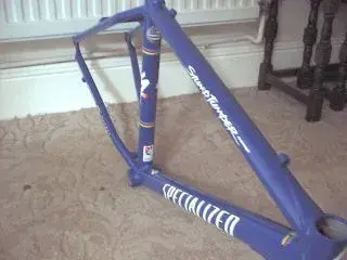 new stumpy.webp
