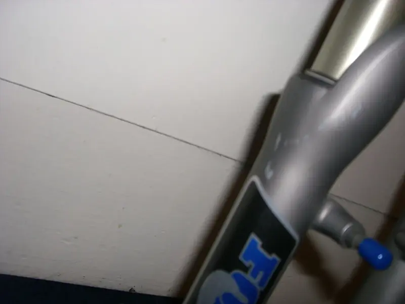 CIMG0524.webp