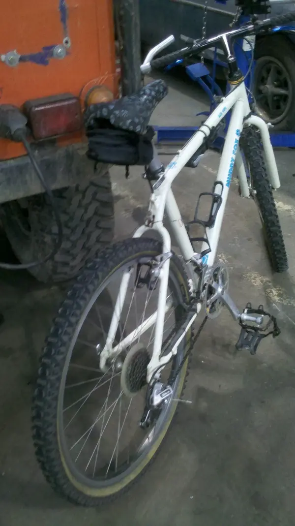 bike back.webp