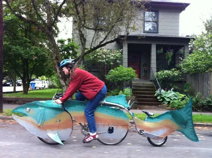 fishbike.webp