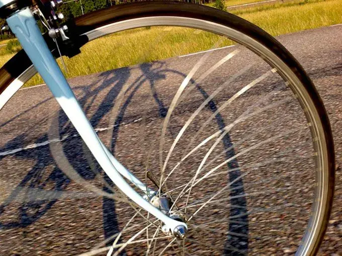 ride1.webp