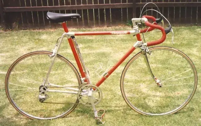 crop 1984 small.webp