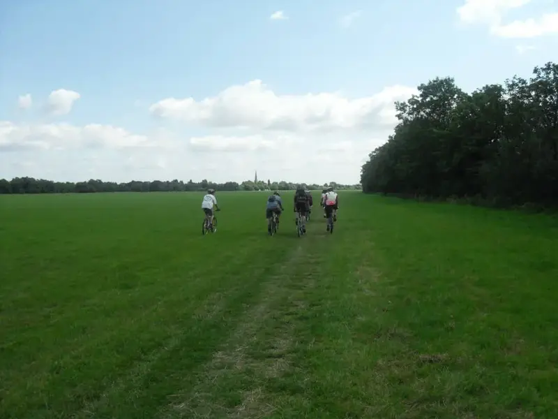 SDC11975-w1024-h768.webp