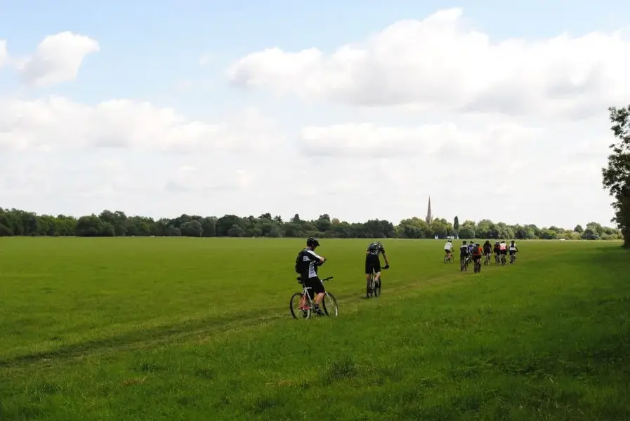 field of dreams.webp