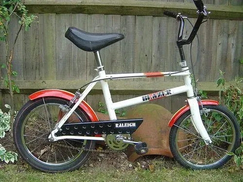 Raleigh Blazer.webp