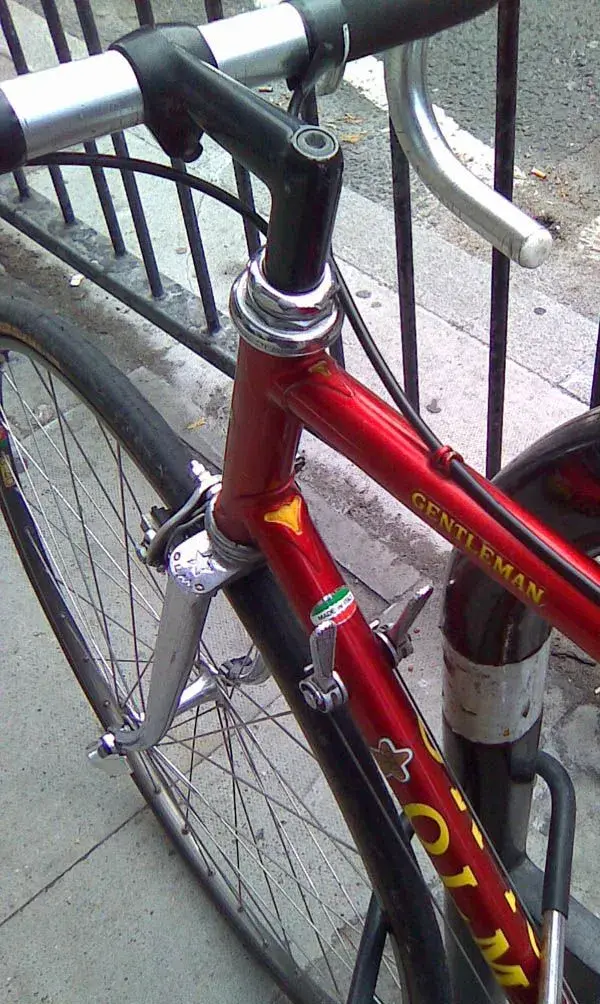 headlugs.webp