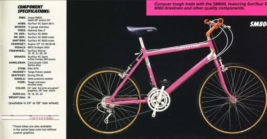 1987_M800.webp