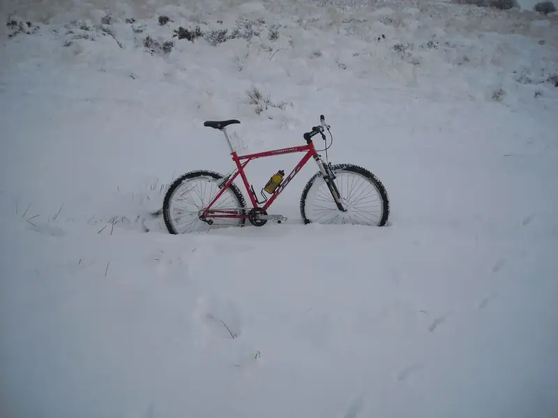deep snow.webp