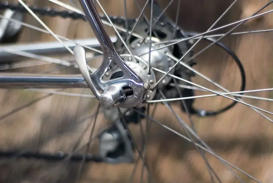 Bike Jul 11-8.webp