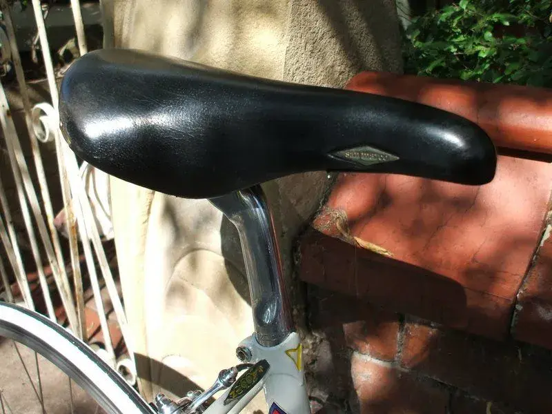 DSCF4161.webp