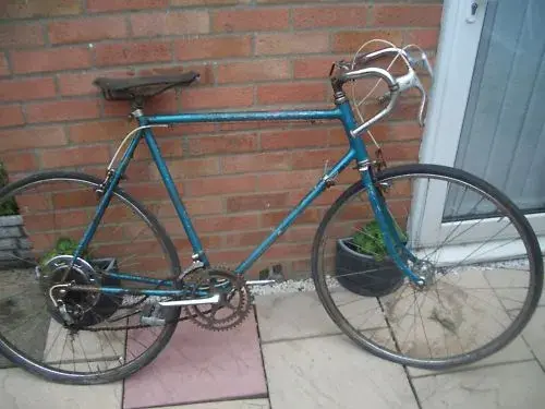 schwinn1.webp
