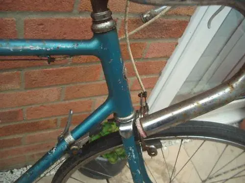 schwinn2.webp