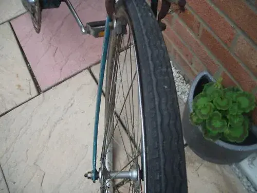 schwinn3.webp