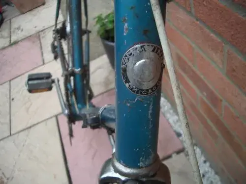 schwinn4.webp