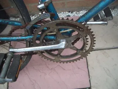 schwinn5.webp
