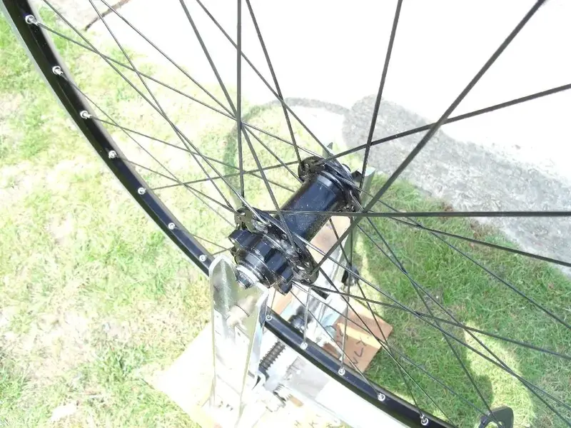 GEDC0519 (Large).webp