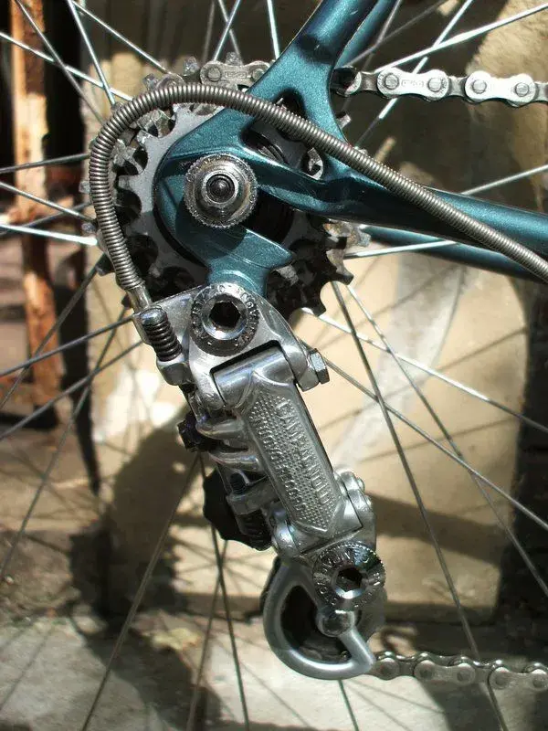 DSCF4175-1.webp