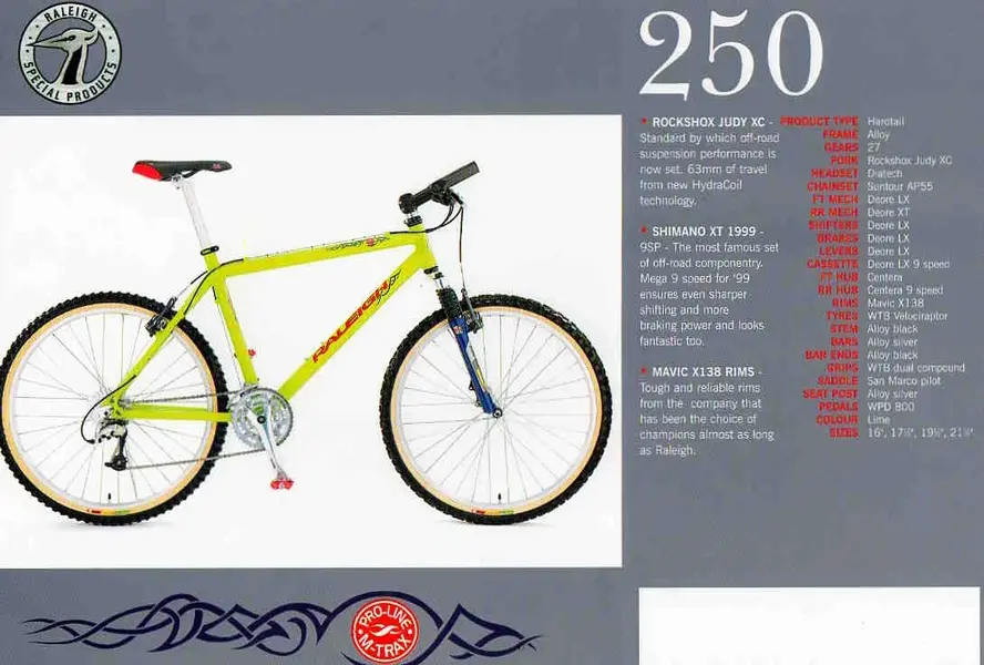250.webp