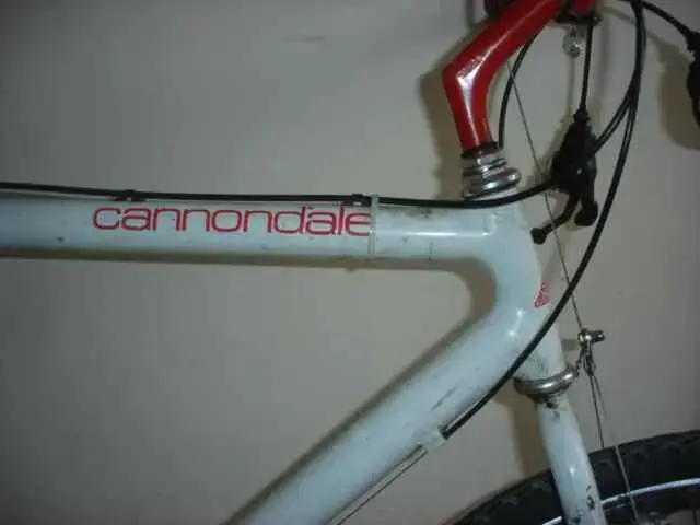 cann3.webp