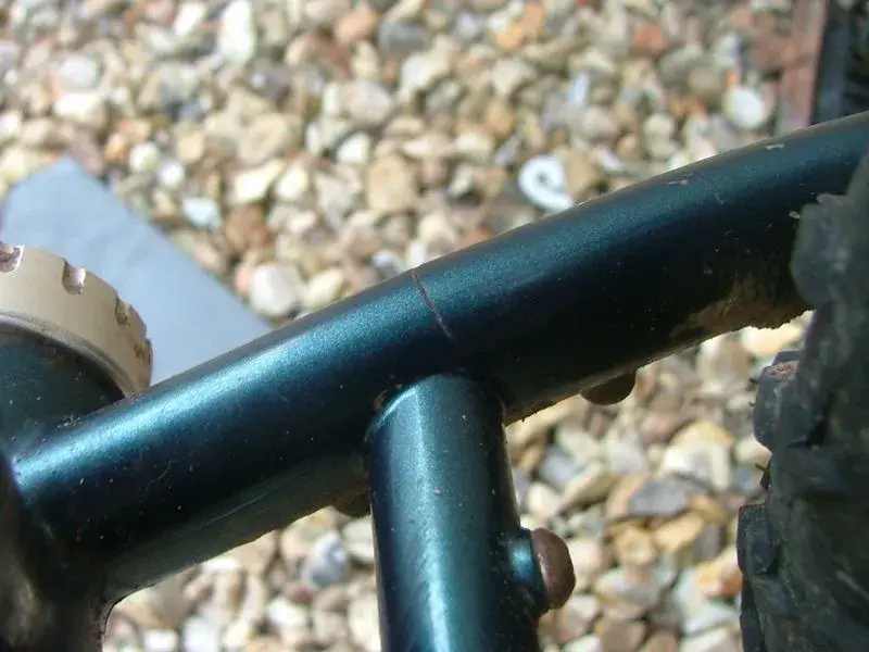 DSCF8702.webp