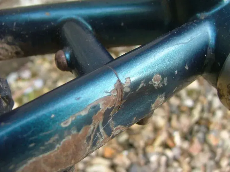DSCF8693.webp