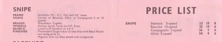 sunsnipe1963.webp