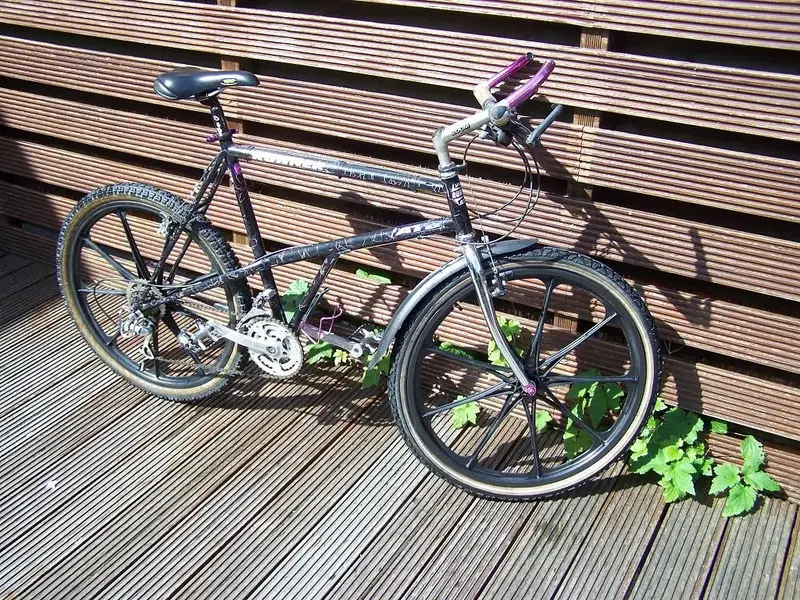 fiets3.webp