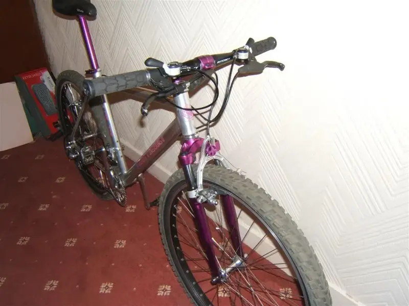 My bikes 013 (Large).webp