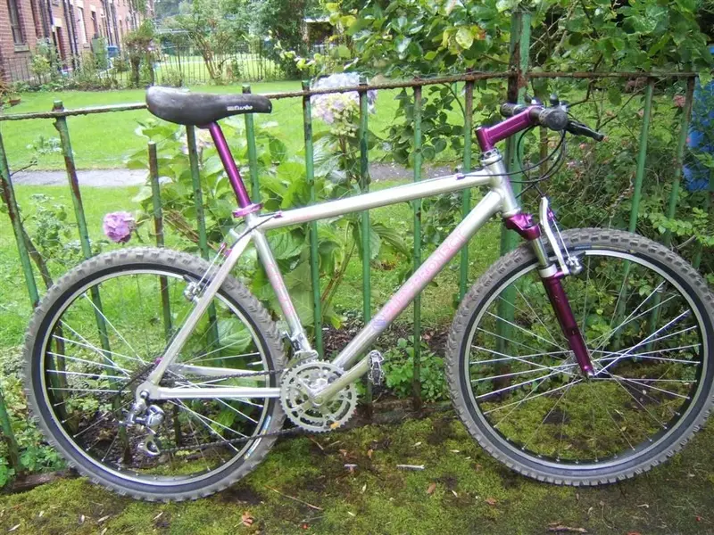 My bikes 002 (Large).webp