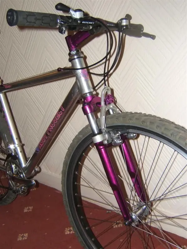 My bikes 017 (Large).webp