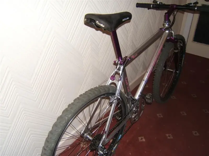 My bikes 014 (Large).webp